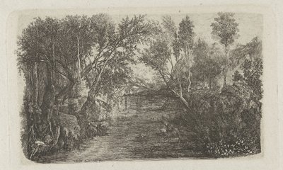 Paysage avec ruisseau et arbres sur les rives - Rodolphe Bresdin