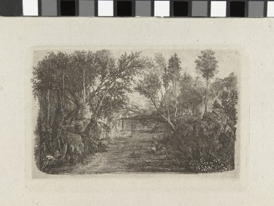 Paysage avec ruisseau et arbres sur les rives - Rodolphe Bresdin