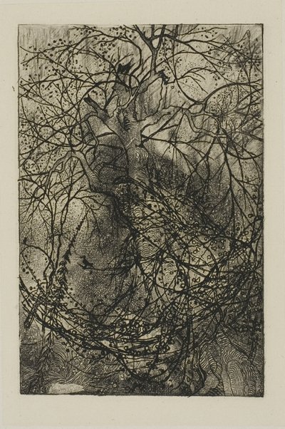 Branches d