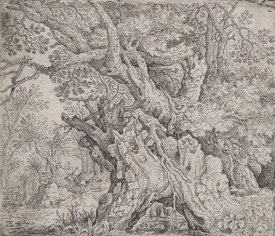 Arbre noueux - Roelandt Savery