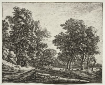 Six vues dans le bois de La Haye : Planche 4, Chèvres sous les arbres - Roelant Roghman