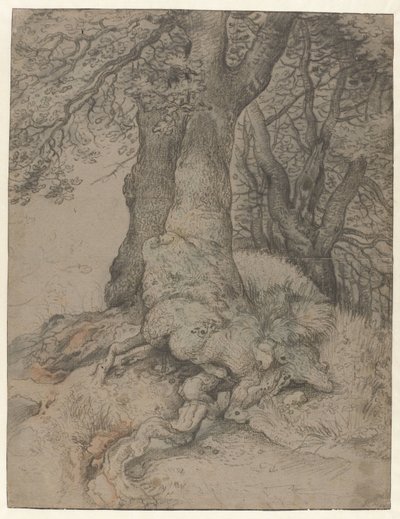 Étude de troncs et de racines d