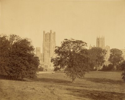 La cathédrale d