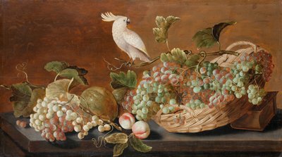 Nature morte avec perroquet - Roloef Koets