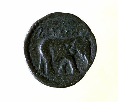 Pièce de Carthage représentant un éléphant. IIIe ou IIe siècle av. J.-C. - Roman