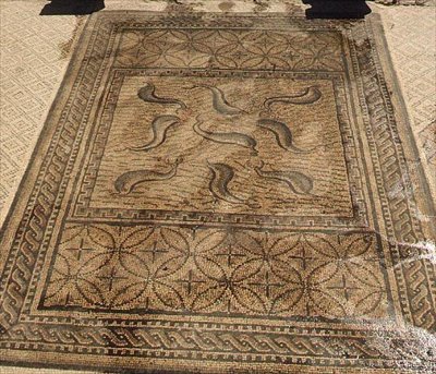 Dauphins, mosaïque romaine de la Maison d