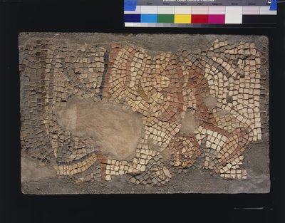 Mosaïque de la Maison de Ménandre avec Zeus, 3e - 4e siècle - Roman