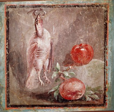Perdrix et grenades (fresque) - Roman