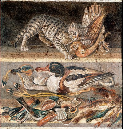 Chat mangeant une perdrix et des canards sauvages - Roman