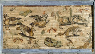 Art romain : canard, grenouille et nénuphars dans un étang. Mosaïque de la villa de la faune à Pompéi. Musée Archéologique National, Naples - Roman