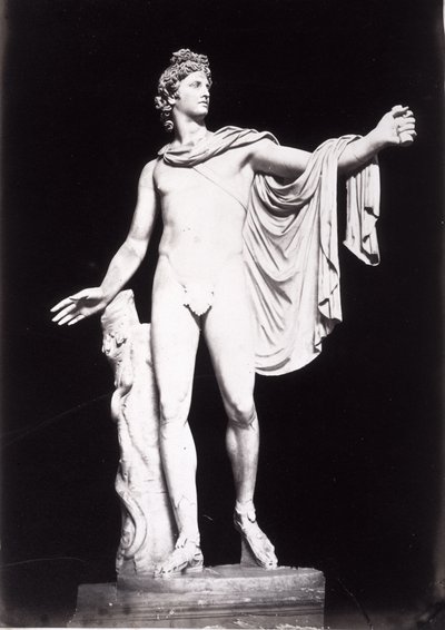 Apollon du Belvédère, copie d