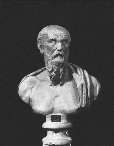 Buste de Diogène - Roman Roman