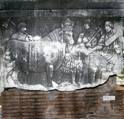Foro Romano : Suovetaurile (sacrifice d