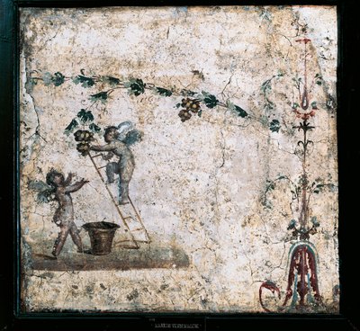 Fresque du troisième style représentant des Cupidons récoltant, de la maison de Marcus Lucretius à Pompéi - Roman Roman