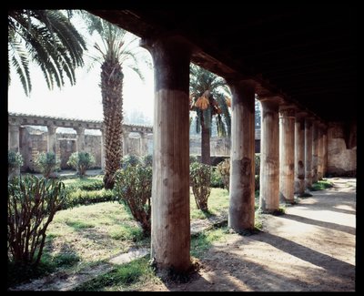 Vue du péristyle de la Casa d