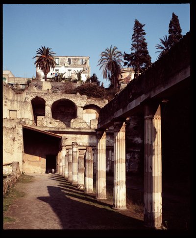 Vue de la palestre - Roman Roman