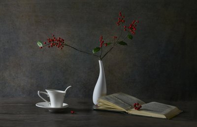 Nature morte « Lecture douillette » - Rong Wei