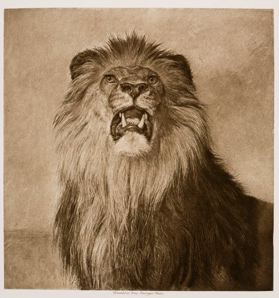  - Rosa Bonheur