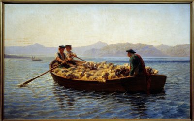Changement de pâturage. Les bergers embarquent le troupeau de moutons pour les emmener sur l