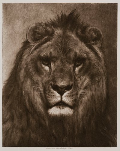  - Rosa Bonheur