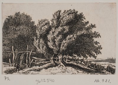 Paysage - Rosalie Holm