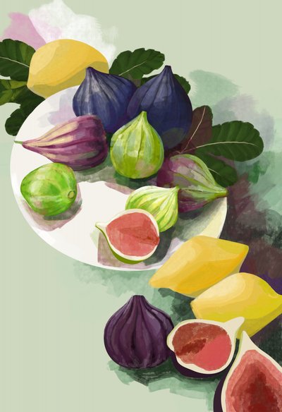 Des figues et des citrons colorés - Rosana Laiz Blursbyai