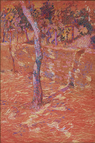 Arbre et mur, 1905-06 - Rubaldo Merello