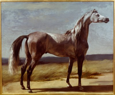 Cheval dans un paysage - Rudolf Koller