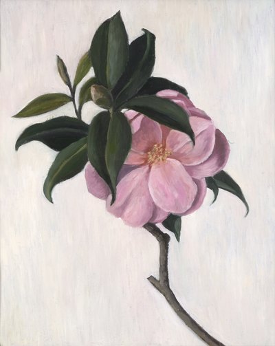 Camélia, 1998 - Ruth Addinall
