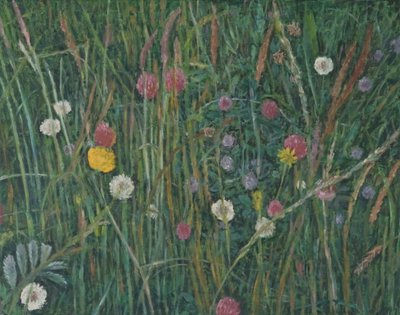 Plantes du Machair, 2008 - Ruth Addinall
