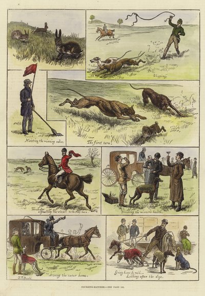 Courses de lévriers - S.T. Dadd