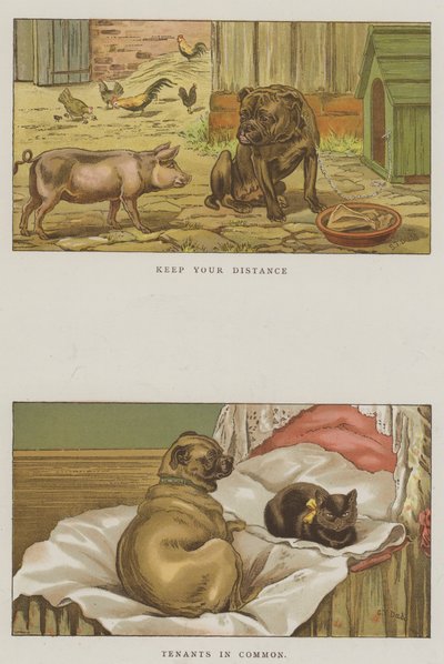 Chiens humoristiques - S.T. Dadd