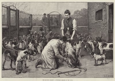 La saison de chasse, un membre blessé de la meute (gravure) - S. T. Dadd