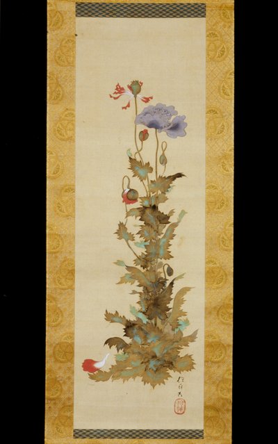 Mohnblumen - Sakai Hoitsu
