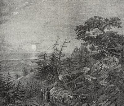 Paysage de la forêt de cèdres sur le mont Liban, près de Beyrouth, Liban, lithographie de Salvatore Puglia de Poliorama Pittoresco, n°11, 22 octobre - Salvatore Puglia