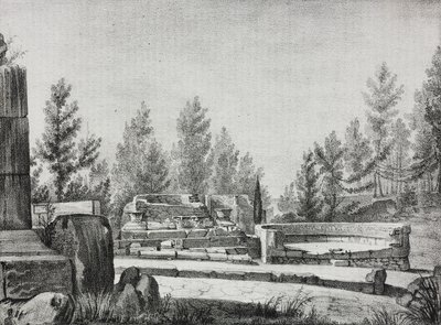 Vue des ruines de Pompéi, Campanie, Italie, lithographie de Salvatore Puglia de Poliorama Pittoresco, n 7, 25 septembre - Salvatore Puglia