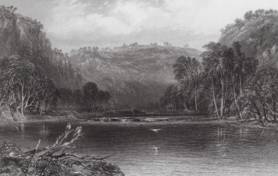 Australie : Sur la rivière Cow Pasture - Samuel (after) Prout
