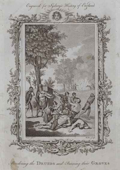 Massacre des Druides et Incendie de leurs Bosquets - Samuel (after) Wale