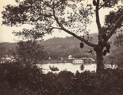 Vue depuis Upper Lake Road montrant le Temple et l