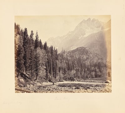  - Samuel Bourne