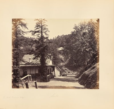 Simla ; The Mall, Combermere Ridge - Samuel Bourne