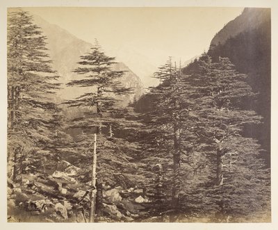Pics enneigés près de Gangootri depuis Bhairamghati. Photographe : Bourne, Samuel. Album de photographies de l