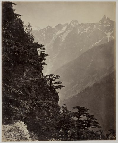 Sans titre - Samuel Bourne
