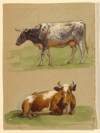 Bétail, une vache marchant et une vache accroupie - Samuel Colman