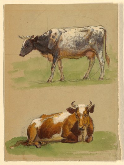 Dessin, Bovins, une vache marchant et une vache accroupie, 1875-80 - Samuel Colman