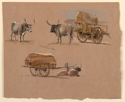 Dessin, chars à bœufs, Rome, Italie, janvier 1873 - Samuel Colman