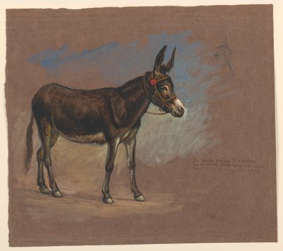 Dessin, étude. Un mulet, 1872-75 - Samuel Colman