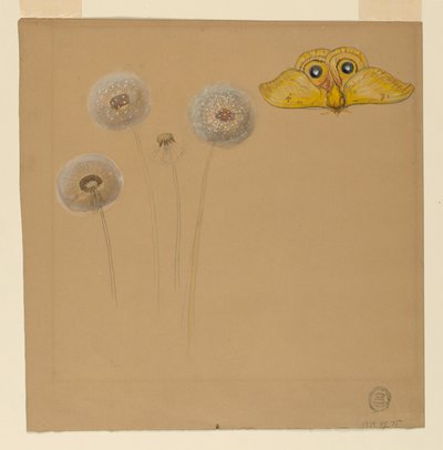 Dessin, étude d