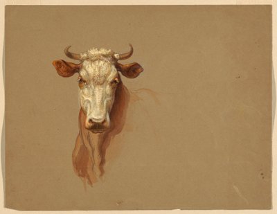 Dessin, deux études.  Bétail, 1876 - Samuel Colman