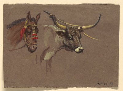 Tête de mule avec bride, tête de buffle ou de bœuf - Samuel Colman
